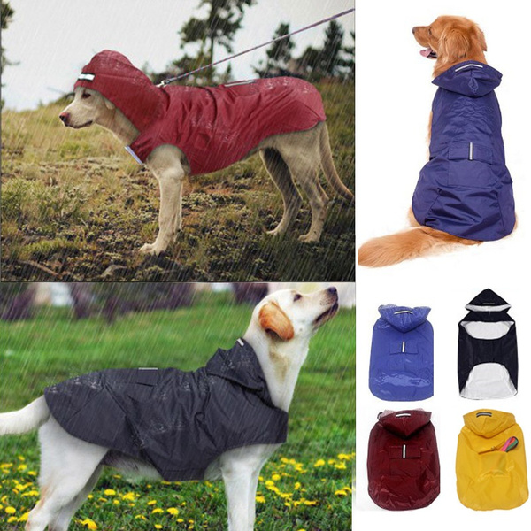 big dog raincoat