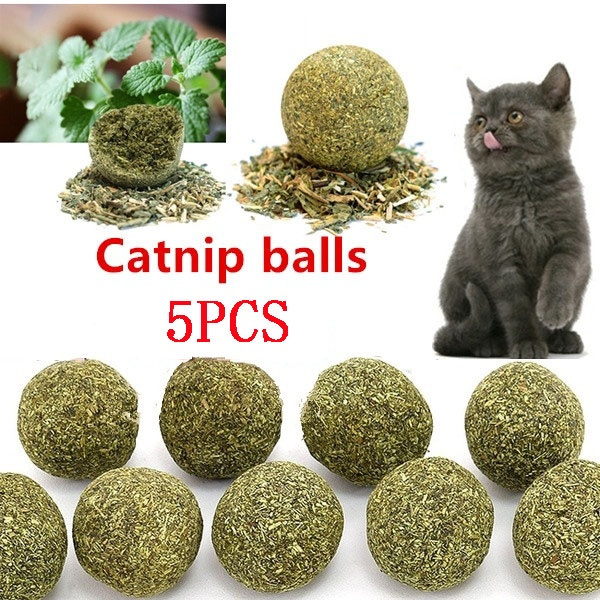 catnip ball
