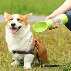 petwaterer, dogsdrinkinggla, Cup, Pets