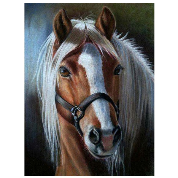 Full Horse Diamond Mosaic, Horse Rhinestone Picture