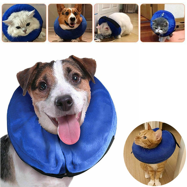 soft collar for dogs