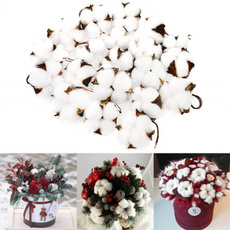 cottonball, cottonhead, Decor, Flowers