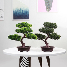 Bonsai, Plants, Office, Tree