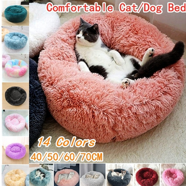 Wish 2024 cat bed