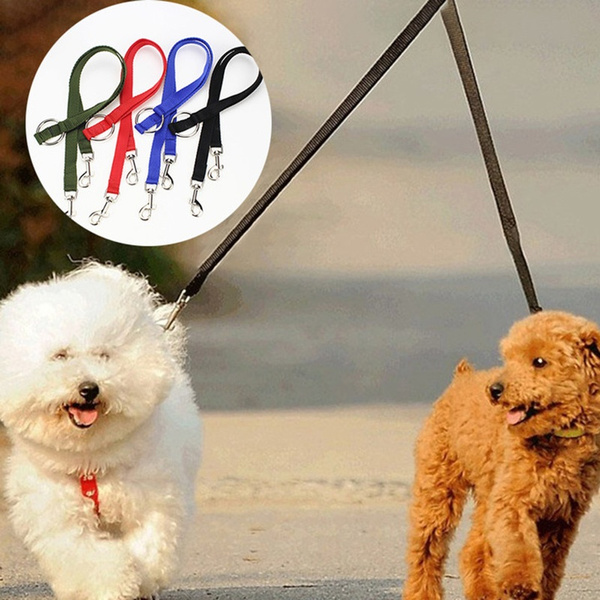 dog leash with two clips