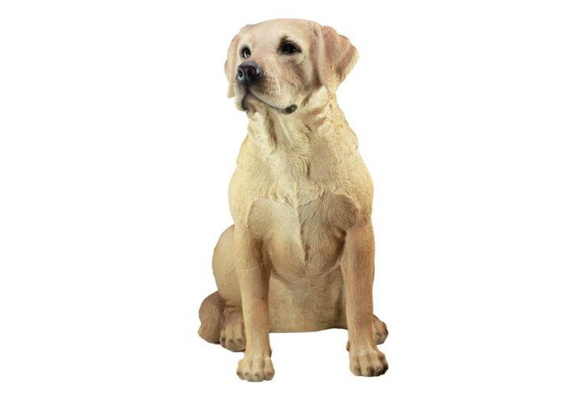 large yellow lab