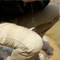 thumbnail - 14