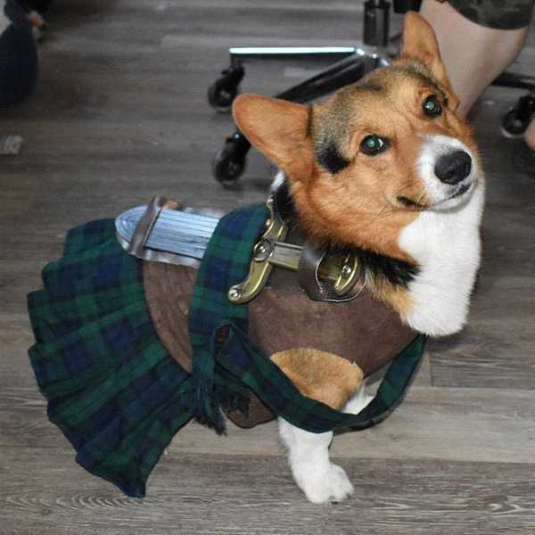 dog kilt costume