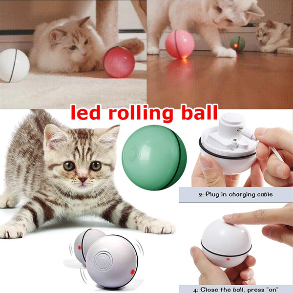 motion activated cat toy