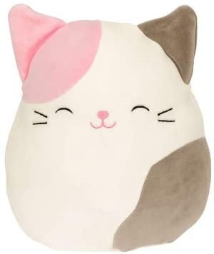 squishmallows pink cat