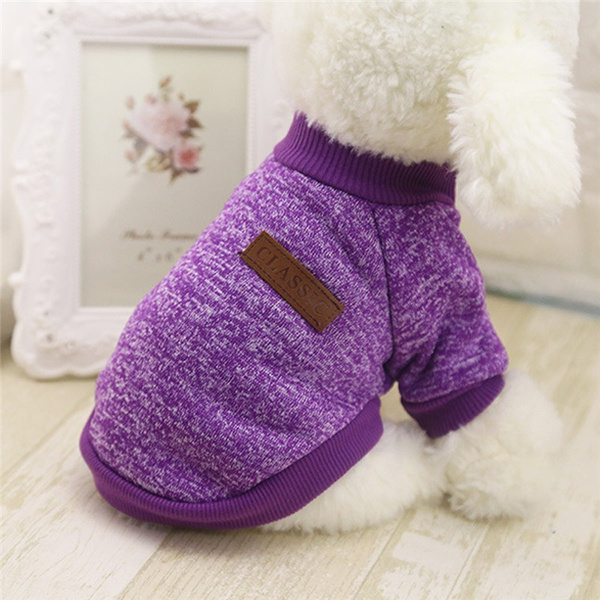 dog woolen clothes