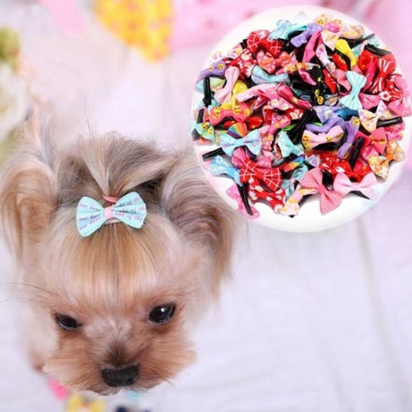 Pet bows for best sale dogs