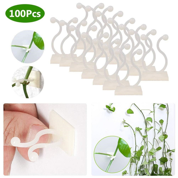 Magic Invisible Plant Climbing Wall Clip Wall Vines Fixture Wall Sticky Hook r