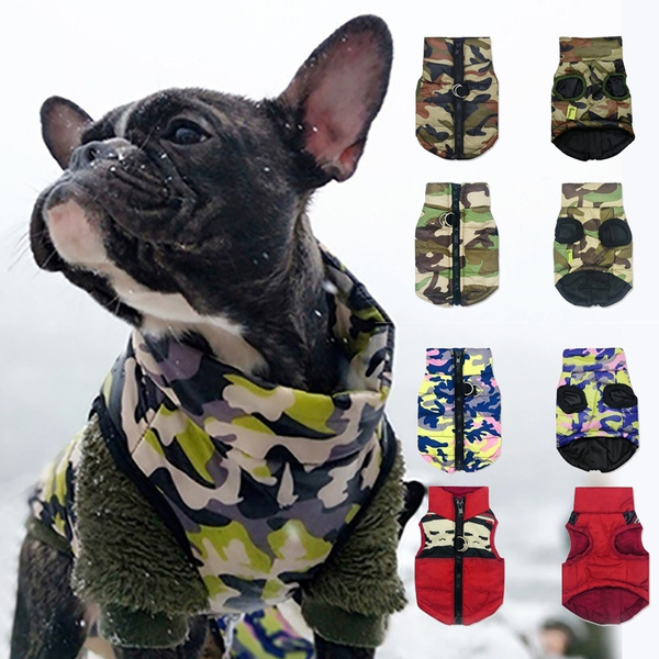 chihuahua camo clothes