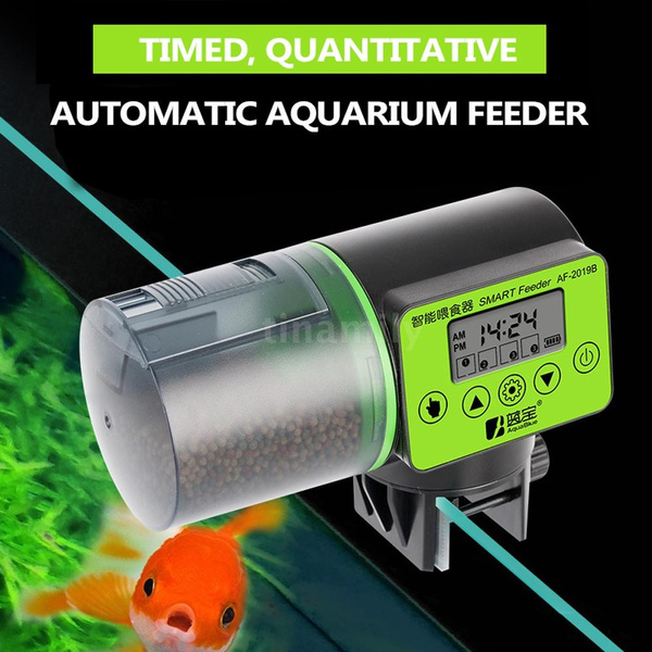 large automatic fish feeder