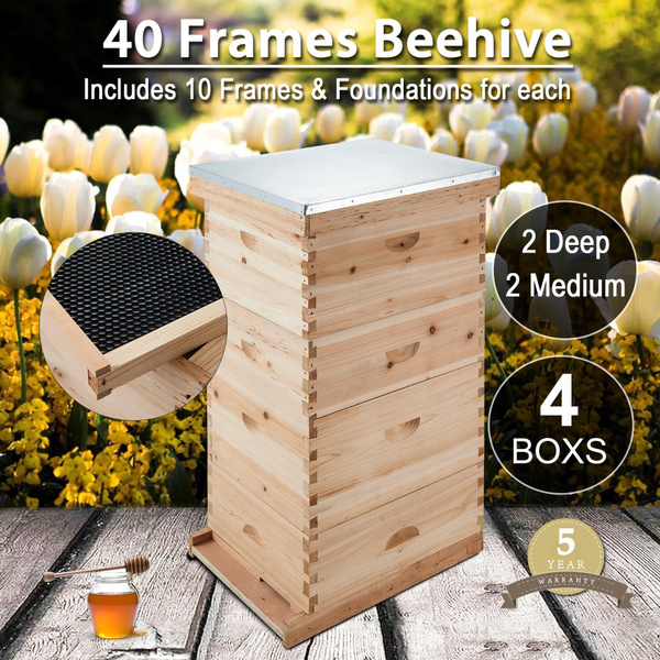 Bee Hive House Frame Beehive Beekeeping Kit 40-Frame Size 20 Deep 20 Medium 