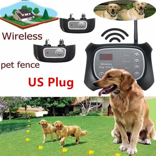plug in dog fence