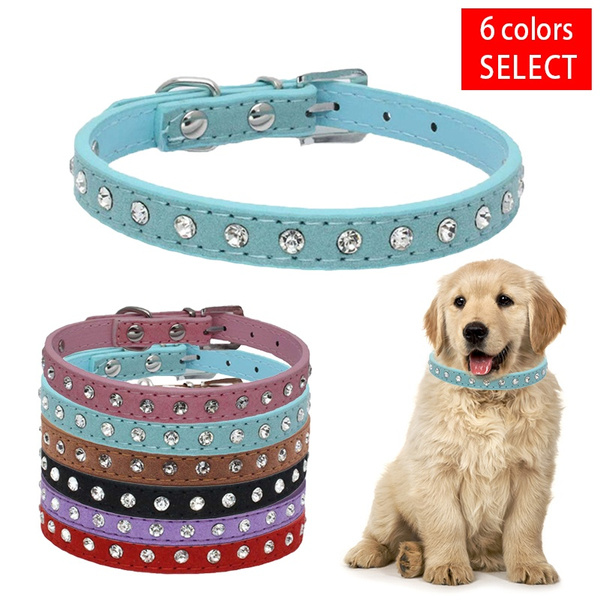 diamond dog accessories