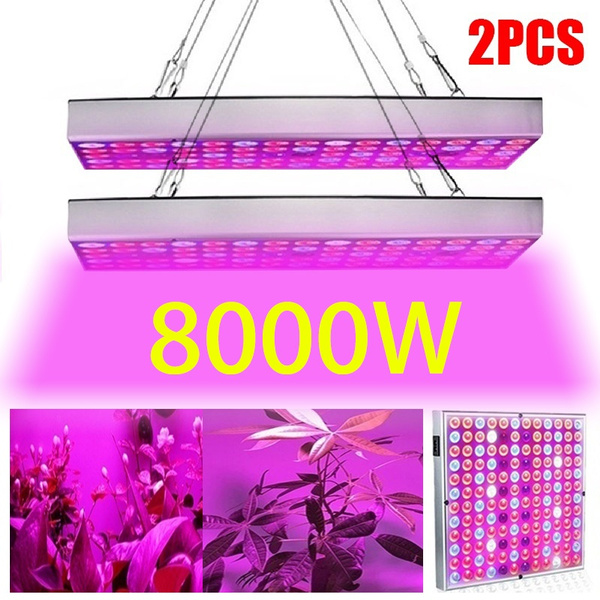 wish led grow lights