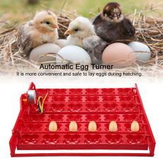 eggturning, petaccessorie, Eggs, incubatortool