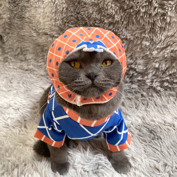 Cat Costume Anime Cat Clothes Cat Halloween Costume Tanjirou Cosplay for  Small Dogs Cats Outfits (Tanjiro Kamado) in 2023 | Anime cat, Cat halloween  costume, Cat costumes
