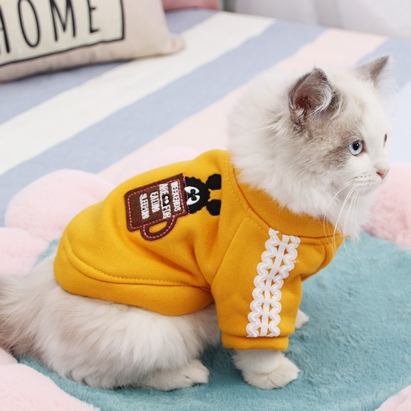 Cat wearing winter jacket  Cats, Winter jackets, Cat photo