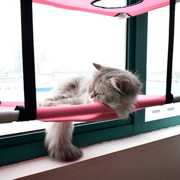 double cat window perch