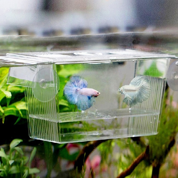 Aquarium Fish Tank Guppy Double Breeding Breeder Rearing Trap Box ...