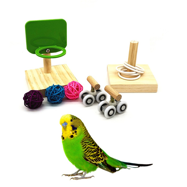 budgie basketball toy