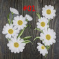 thumbnail - 3
