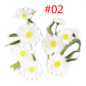 thumbnail - 4