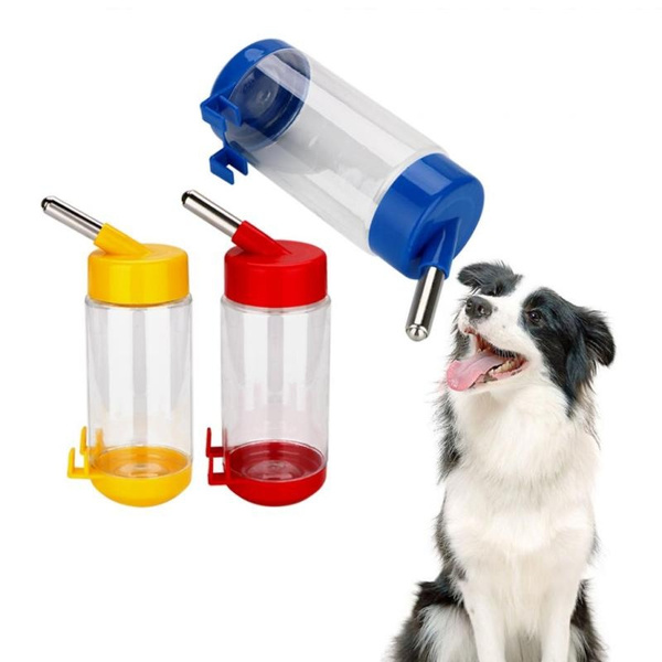 rabbit drinking bowl