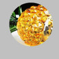 thumbnail - 9