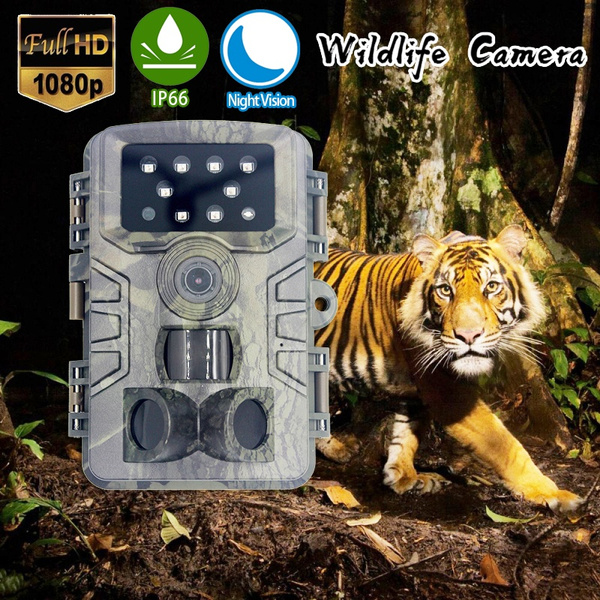 Hunting Trail Camera Wildlife Camera With Night Vision Motion Activated  Outdoor Trail Camera Trigger Wildlife Scouting