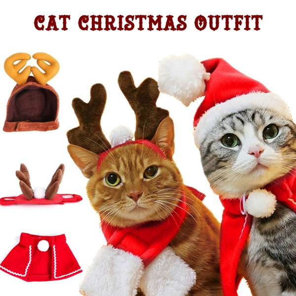 cat christmas clothes