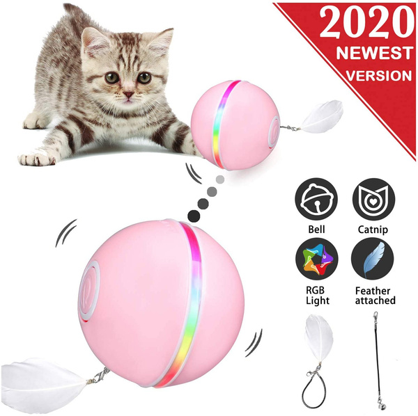 wish cat toys