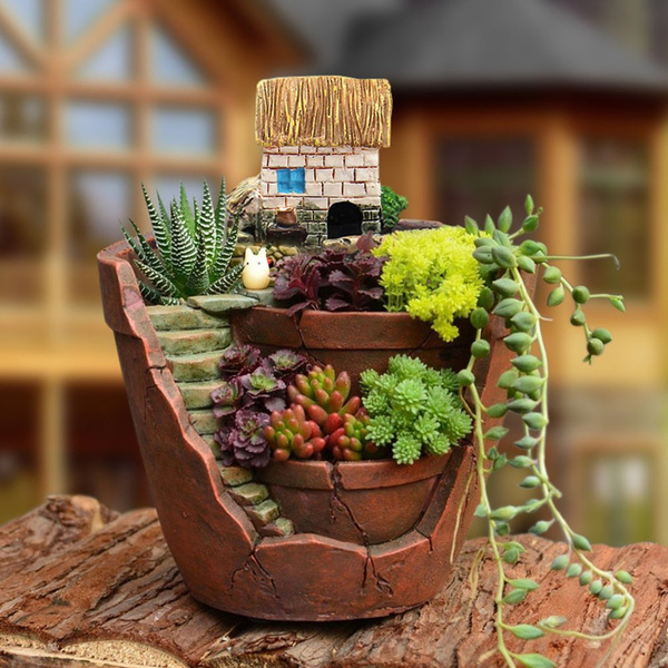 Creative Plants  Pot  City of Sky Succulent Plant  Pot  Flower 