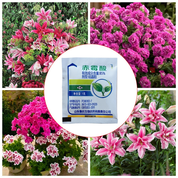 Gibberellic Acid Plant Growth Regulator Fertilizer Increase Production Bonsai WF 