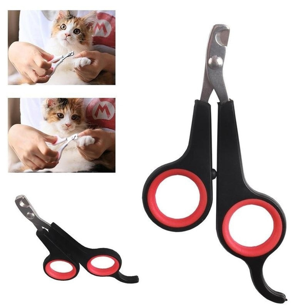 Bird Scissors Nippers