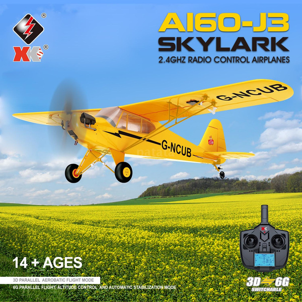 wish rc plane