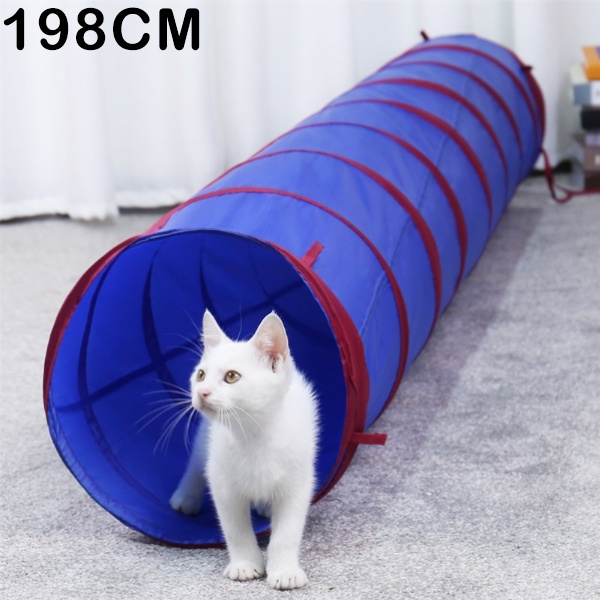 cat toy tube