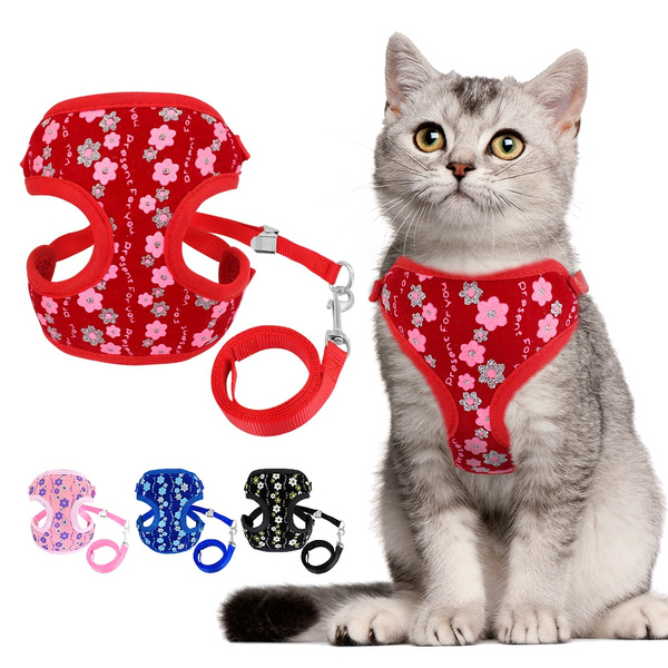 cute cat harness