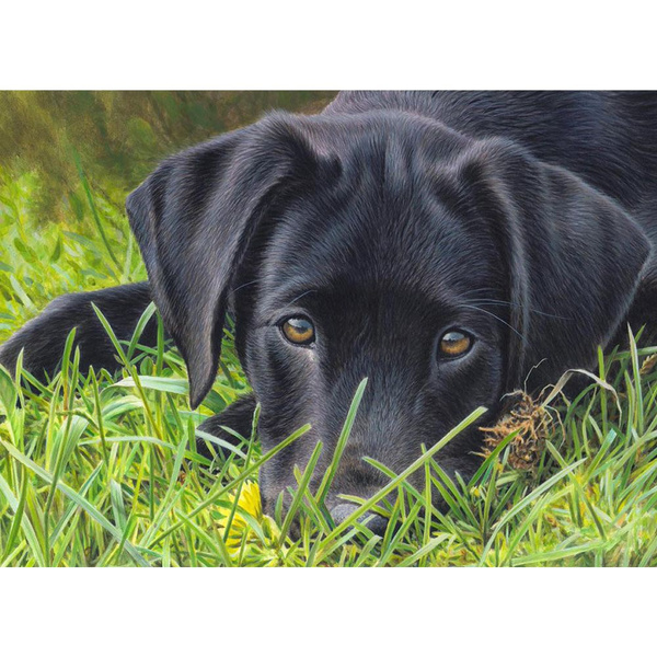 Full Diamond Embroidery Black Dog Labrador Retriever Mosaic 5d Diy Round Painting Festival Gift Home Decor Funhome Wish - Black Lab Home Decor