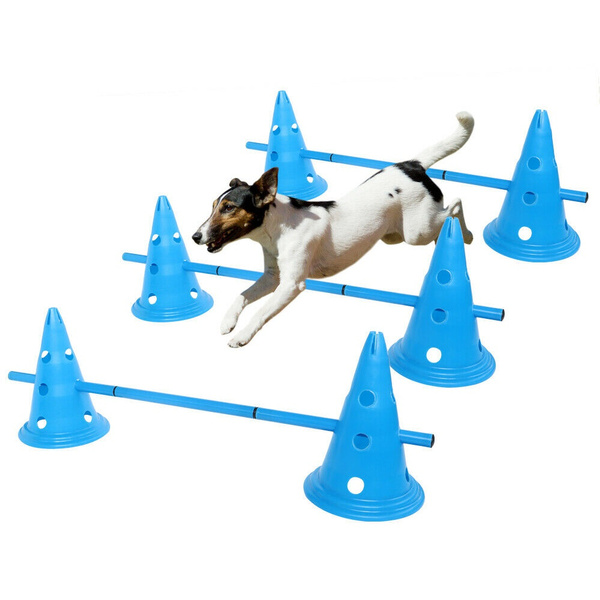 Large dog hotsell agility equipment