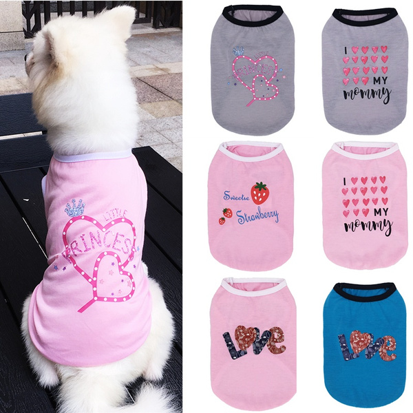 teddy dog shirts