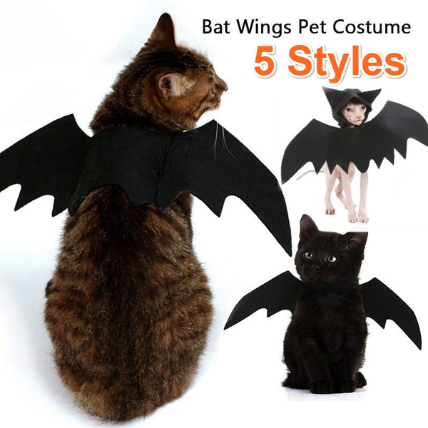 Gato murciélago cosplay disfraz de Halloween fiesta