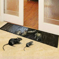 6Pcs Premium Reusable Mouse Traps Rodent Snap Trap Rat Trap Mouse Busters