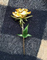 thumbnail - 6