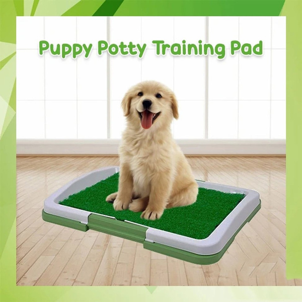 indoor potty training