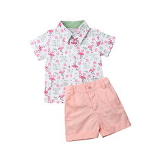 Baby, flamingo, Shirt, pants